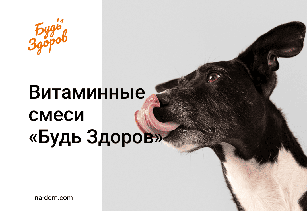 Витаминные смеси «Будь Здоров» от компании «ЖИВАЯ СИЛА»