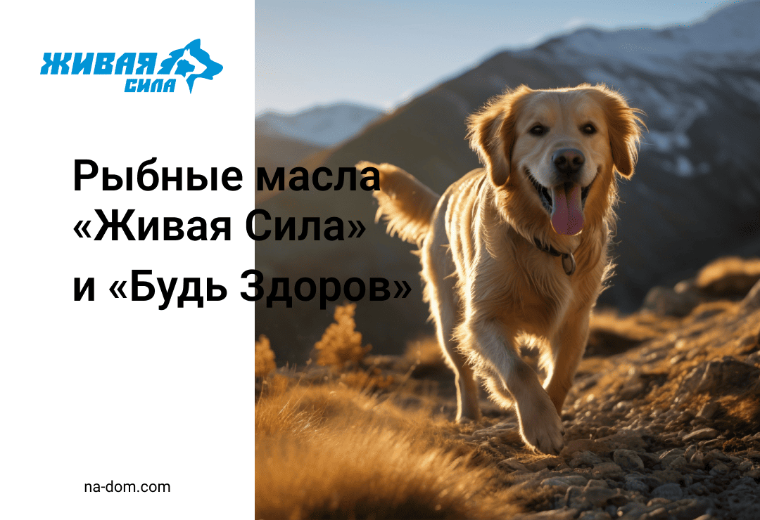 Рыбные масла ЖИВАЯ СИЛА и Будь Здоров