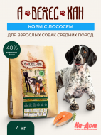 Нет заданного изображения 
