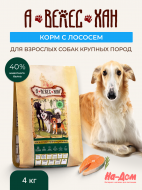 Нет заданного изображения 