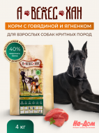 Нет заданного изображения 