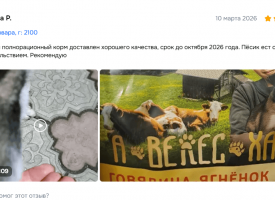 Otzyv O Korme Aveleshan Dlya Sobak1